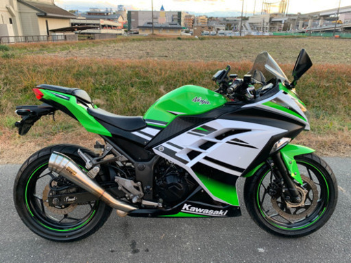 カワサキ‼️忍者250L‼️スペシャルエディション‼️忍者30周年アニバーサリー