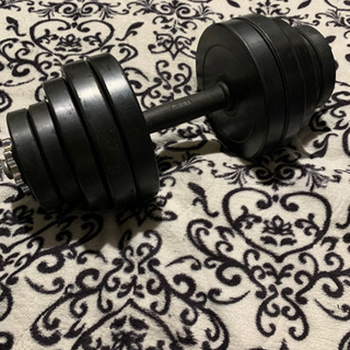 ダンベル（20kg×2）