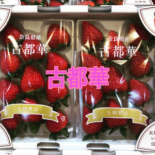 フルーツショップ店員　★急募につき面接1回！の画像