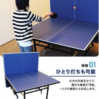 【会社使用品】卓球台（国際規格サイズ）の画像
