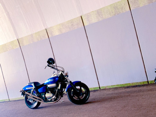 V-TWIN MAGNA   希少カラー