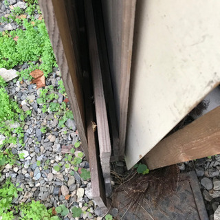 木製パレットと端材　木材、薪にもの画像