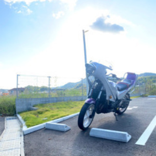 JADE250今月限定32万