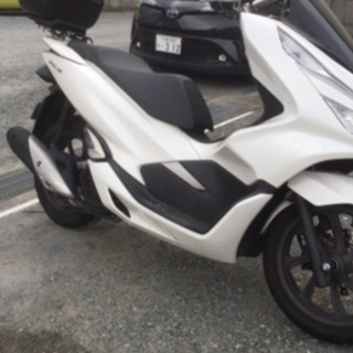 引取り待ち。pcx １２５白JF81キーレスシステムモデル個人