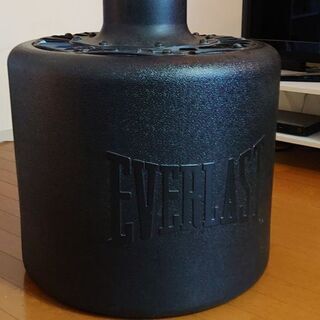 EVERLAST Power Core ボクシング パンチの画像