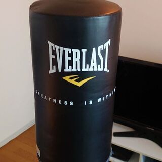 EVERLAST Power Core ボクシング パンチ