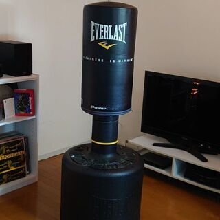 EVERLAST Power Core ボクシング パンチの画像