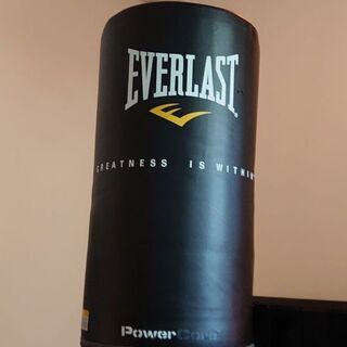 EVERLAST Power Core ボクシング パンチの画像
