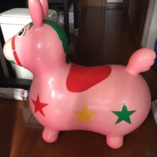 ポニーの画像