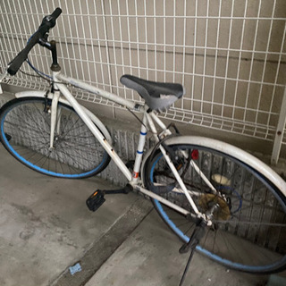 自転車　ブルー