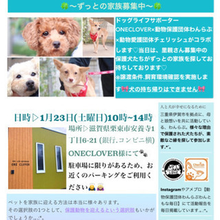 ♡保護犬ご縁探し会♡IN滋賀栗東
