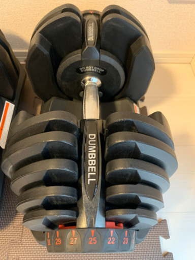 WILD FIT ワイルドフィット] アジャスタブルダンベル 40kg 2本 