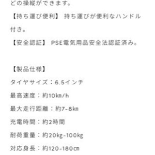 エレクトリックバランスボード☆セグウェイ☆電動スケボーの画像