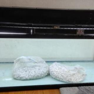 PSA10】080SPJe vous suis attache 由美子