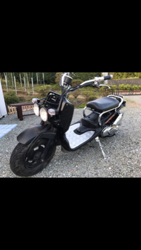 カスタムズーマー