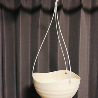 吊り鉢(プランター 植木鉢) 、そして、いか天かす