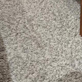 IKEA購入ラグの画像