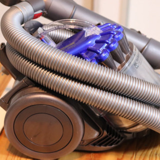 決まりました　ダイソン　DYSON DC22
