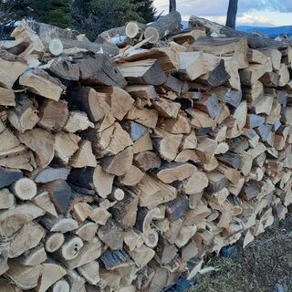 5500円は年内注文限定！「配送無料地域限定（600キロから無料）ストーブ薪100キロ単位6000円→5500円　アカシヤ　広葉樹　未乾燥薪　の画像