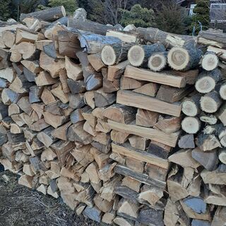 5500円は年内注文限定！「配送無料地域限定（600キロから無料）ストーブ薪100キロ単位6000円→5500円　アカシヤ　広葉樹　未乾燥薪　の画像