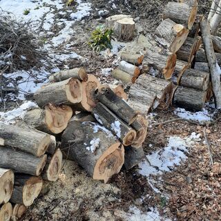 ★配達無料エリアありストーブ薪　カツラ　もみじ　他　広葉樹　  ★お値段 100キロ単位3500円　の画像