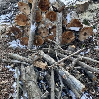 ★配達無料エリアありストーブ薪　カツラ　もみじ　他　広葉樹　  ★お値段 100キロ単位3500円　の画像