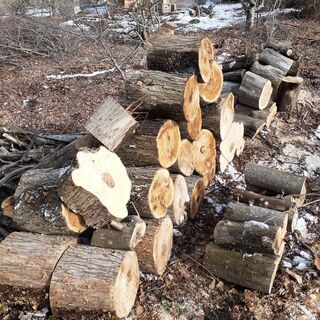 ★配達無料エリアありストーブ薪　カツラ　もみじ　他　広葉樹　  ★お値段 100キロ単位3500円　の画像