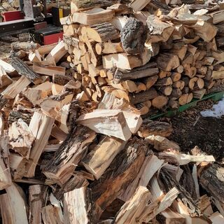 ★　受付中!　冬では遅い!　ヤナギ　広葉樹　100キロ単位6200円　配達無料エリアあり　ストーブ薪の画像