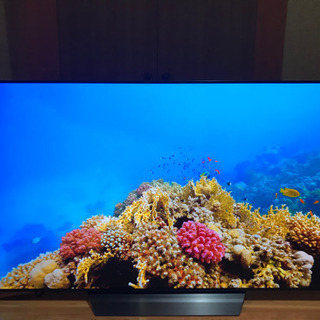 極美品　LG  OLED65B8PJA 2018年製 65型有機ELテレビ