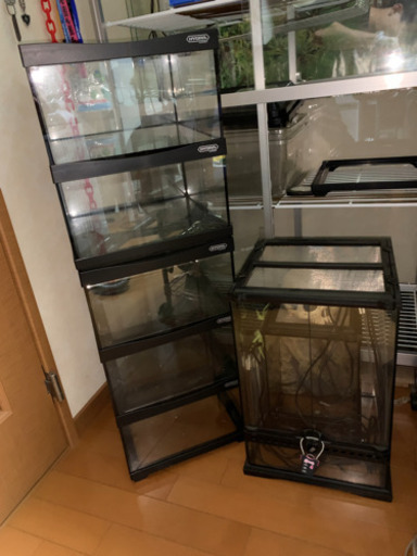 爬虫類　ケージ色々