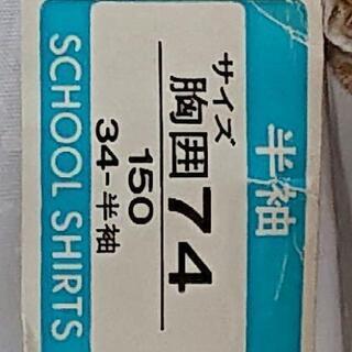 中学生男子半袖Yシャツの画像