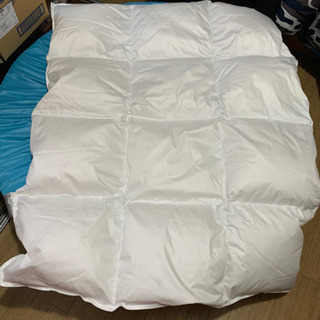 西川掛け布団 子供用 【年内処分価格】