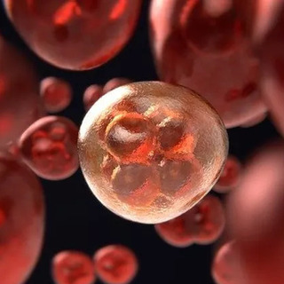 100歳まで若く健康に生きる準備できてますか？『細胞科学セミナー』の画像