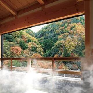 『武田尾温泉へご一緒しませんか♨』