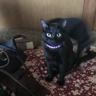 譲渡終了