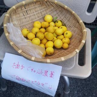 柚子！無料です！