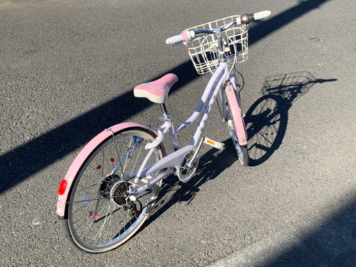 子供用自転車　ブリジストン　ワイルドベリー24インチ