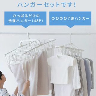 時短 アルミ洗濯ハンガー 48P ライトグレーの画像