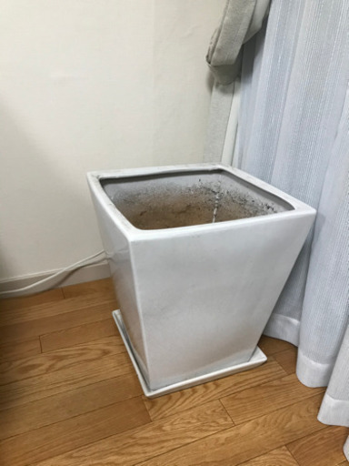 【お取引終了】陶器　観葉植物　大型　鉢