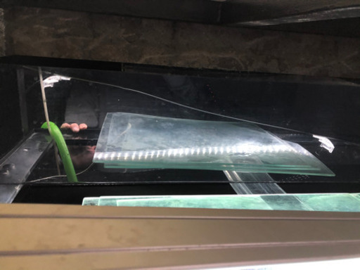 1500.600.600ブラック水槽