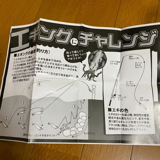 エギ　５本セット　ケース付きの画像