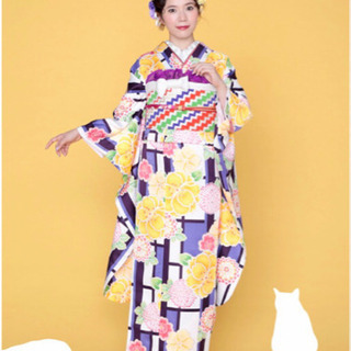 振袖・長襦袢・袋帯セット 和遊日ブランド③