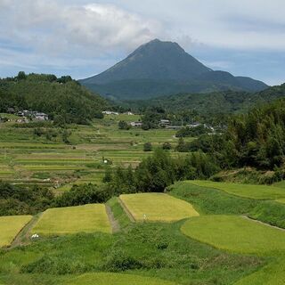 由布市の中でも評判の大津留米新米！ 品種はヒノヒカリ30Kg