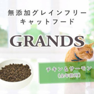 猫のドライフード500g ｜全年齢用・チキン&サーモン味・穀物フリーの画像