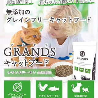 猫のドライフード500g ｜全年齢用・チキン&サーモン味・穀物フリーの画像