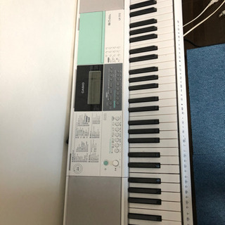 美品 刺繍 シャム猫 着物 仕付け糸付“蝶へ送る神秘的な視線”付下げ 4273