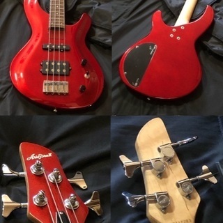 Aria Pro II IGB-STD III の画像