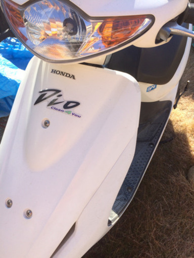 原付き HONDA Dio  ホワイト