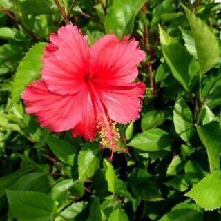 安定して働ける環境のお仕事(^_^)