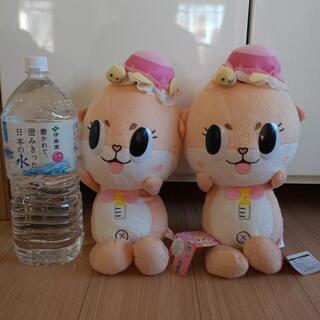 タグ付き‼️コツメカワウソの妖精 ちぃたん